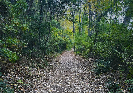 Picture of the Cameron Park river trail in Waco, Texas.