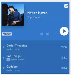 A preview of Nation Haven's Spotify